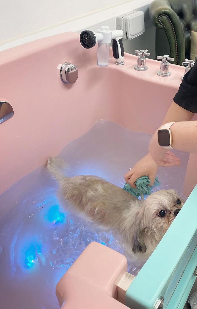 Ozone Spa Bath